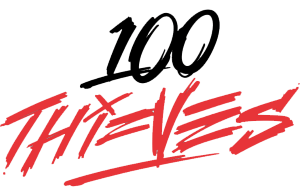 100 Thieves Academy