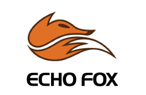 Echo Fox Academy